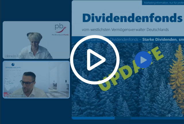 Aktienfonds Webinar
